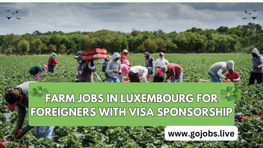 Farm Jobs in Luxembourg for Foreigners offer a good opportunity. Luxembourg appeals to agricultural laborers because of its lovely landscape,Farm Jobs in Luxembourg for Foreigners
