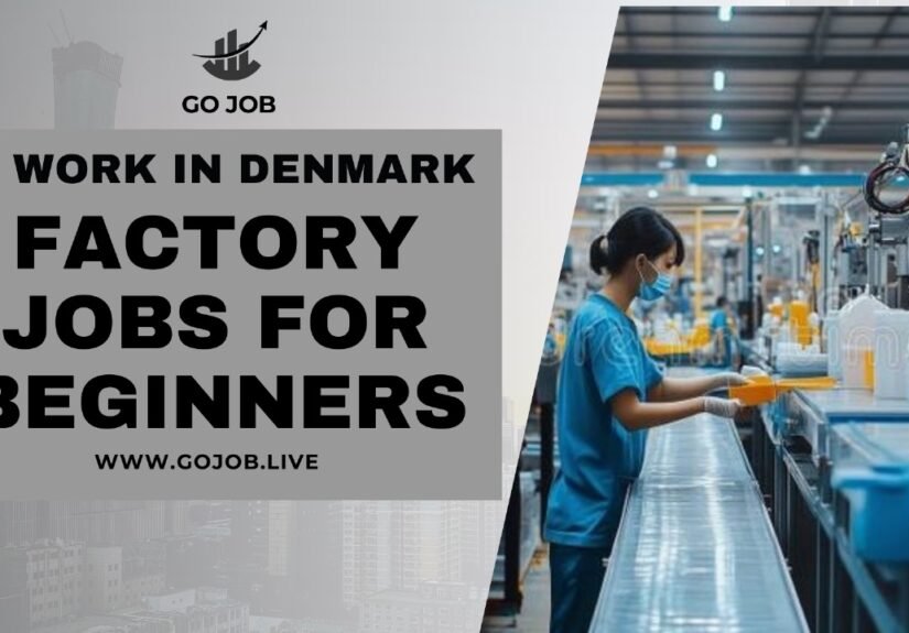 Work in Denmark: Factory Jobs for Beginners & How to Apply